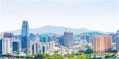 深圳微信预约看图号,为您开启新茶之旅 深圳微信预约看图号,为您开启新茶之旅
